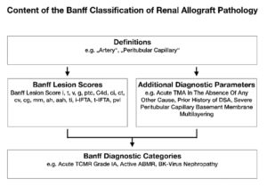 Reference Guide to the Banff Classification - BANFF